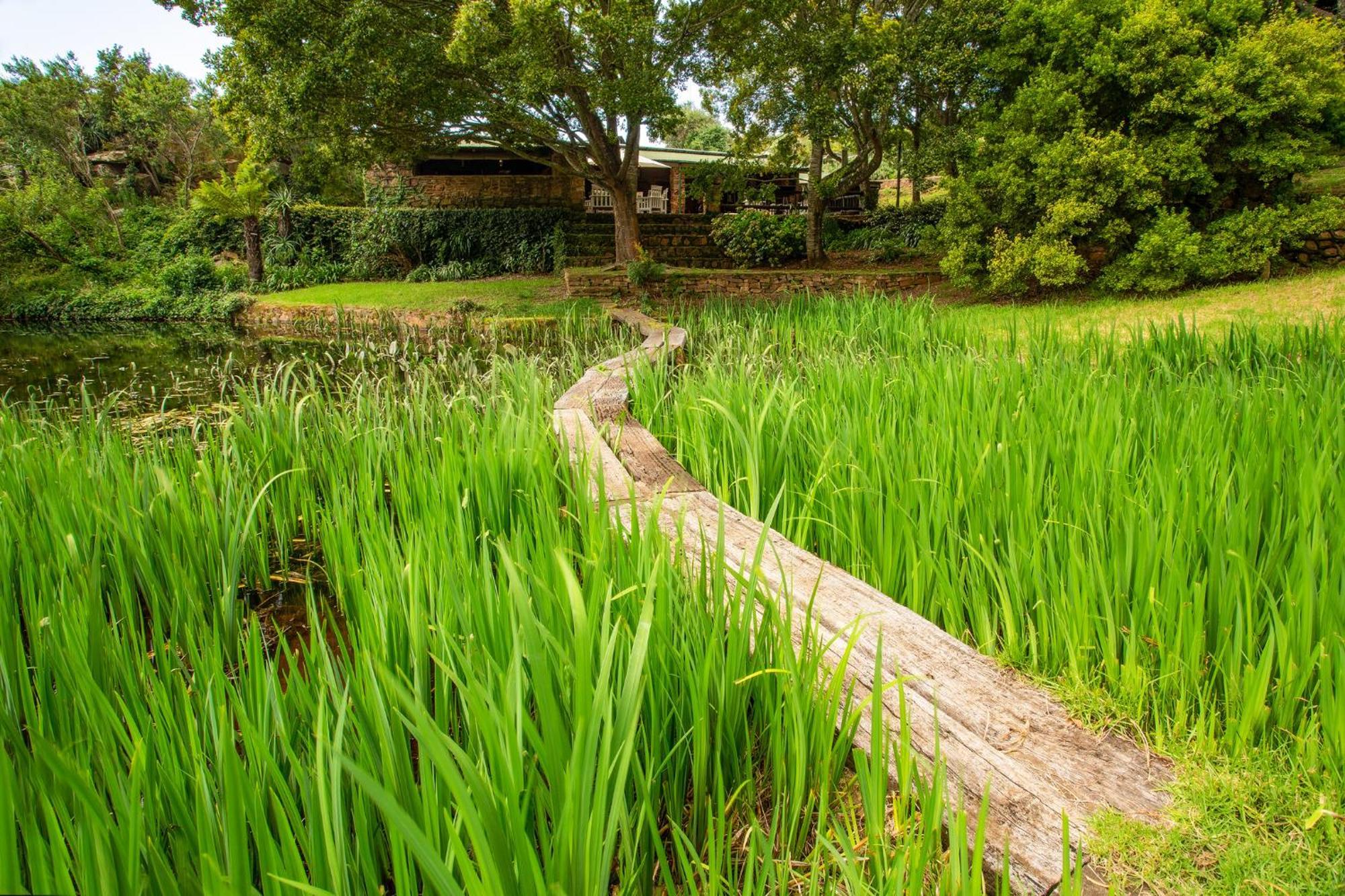 Paardeplaats Nature Retreat Rhenosterhoek Exterior photo